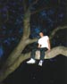 me on a tree